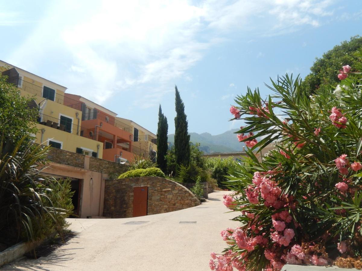 Erbalunga - Residence Les Bosquets - Cap Corse Location Brando Kültér fotó